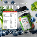 Grass & Co Family Greens Mixed Berry Gummies 60s