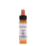 Healing Herbs Ltd Gentian 10ml