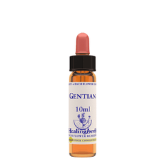 Healing Herbs Ltd Gentian 10ml