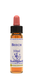 Healing Herbs Ltd Beech 10ml