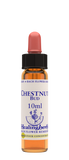 Healing Herbs Ltd Chestnut Bud 10ml