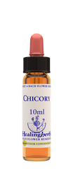Healing Herbs Ltd Chicory 10ml