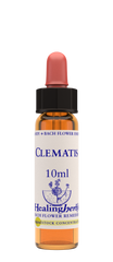 Healing Herbs Ltd Clematis 10ml