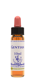 Healing Herbs Ltd Gentian 10ml