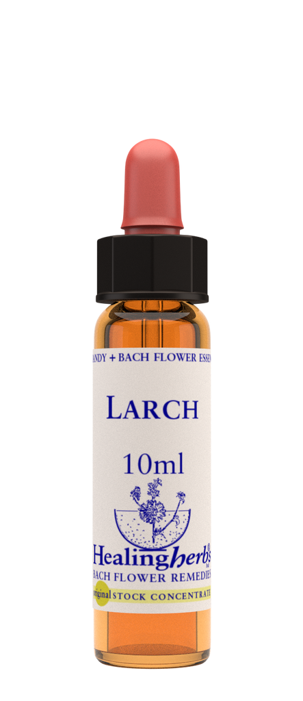 Healing Herbs Ltd Larch 10ml