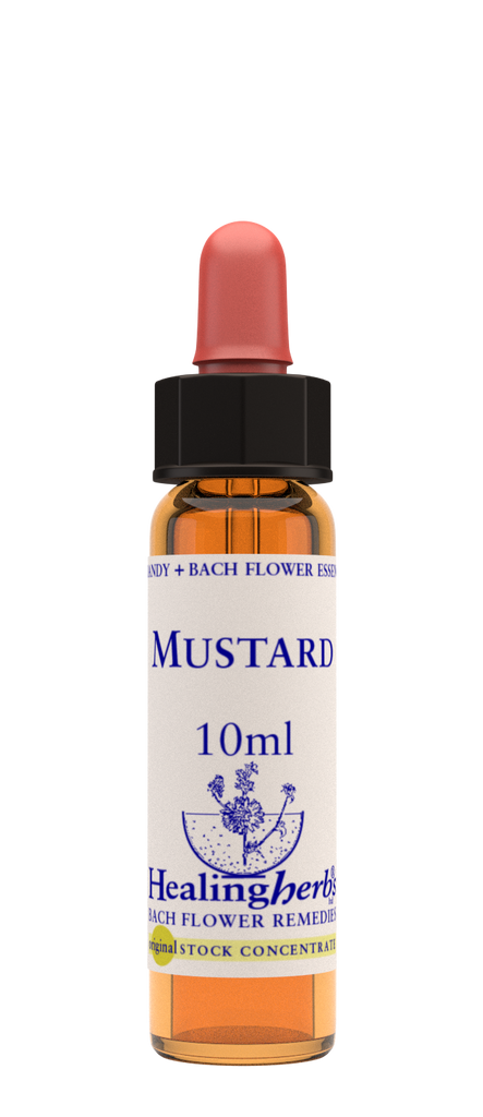 Healing Herbs Ltd Mustard 10ml