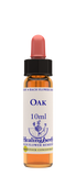 Healing Herbs Ltd Oak 10ml