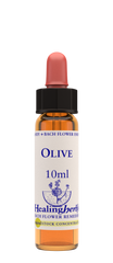 Healing Herbs Ltd Olive 10ml