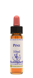 Healing Herbs Ltd Pine 10ml