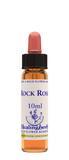 Healing Herbs Ltd Rock Rose 10ml