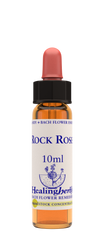 Healing Herbs Ltd Rock Rose 10ml