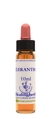 Healing Herbs Ltd Scleranthus 10ml