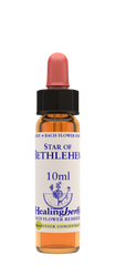 Healing Herbs Ltd Star of Bethlehem 10ml