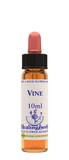 Healing Herbs Ltd Vine 10ml