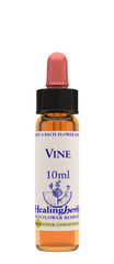 Healing Herbs Ltd Vine 10ml