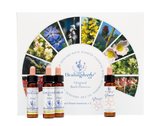 Healing Herbs Ltd Set of Full 40 10ml Bottles