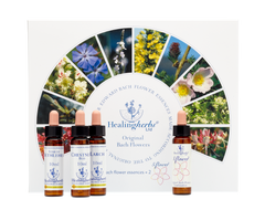 Healing Herbs Ltd Set of Full 40 10ml Bottles