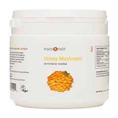MycoNutri Honey Mushroom Powder 250g