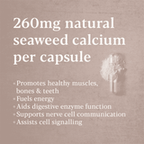 Higher Nature Icelandic Seaweed Calcium 60s