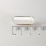 Lamberts L-Ornithine HCL 500mg 60's