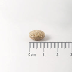 Lamberts Ginkgo 6000mg 60's