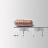 Lamberts Cogni-Focus 30s