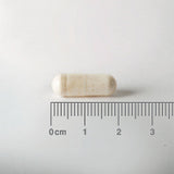 Lamberts Biome Balance Youth 30s (Formerly Acidophilus Extra 4)