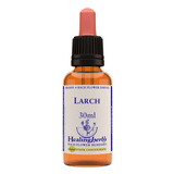 Healing Herbs Ltd Larch 30ml