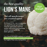 Grass & Co Liquid FOCUS Elderflower & Sicilian Lemon with Lion's Mane Nootropic Drink 250ml