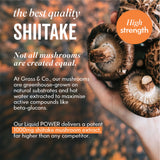 Grass & Co Liquid POWER Ginger & Lime with Shiitake Nootropic Drink 250ml