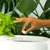 Lomi Lomi Pods Compost Accelerator