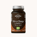 Hifas da Terra Mico-Chaga 70s