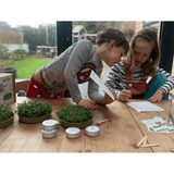 Teeny Greeny Microfarm Organic Microgreen Grow Kit 'Focus Pocus' (Broccoli, Kale, China Radish)