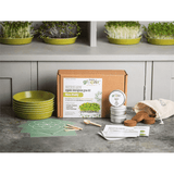 Teeny Greeny Microfarm Organic Microgreen Grow Kit 'Micro-Vitality' (Purple Radish, Broccoli, Red Cabbage)