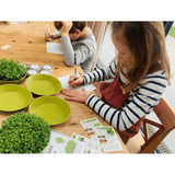 Teeny Greeny Microfarm Organic Microgreen Grow Kit 'Rocket Fuel' (Broccoli, Red Cabbage, Rocket)