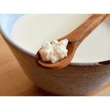 Kefirko Milk Kefir Grains 1g