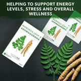 Nutratea Moringa Leaf & Ashwagandha 20s
