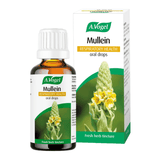 A Vogel (BioForce) Mullein Respiratory Health 50ml