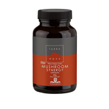 Terranova Mushroom Synergy Super-Blend Powder 40g