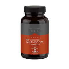Terranova Mushroom Synergy Super-Blend Powder 40g