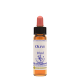 Healing Herbs Ltd Olive 10ml