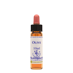 Healing Herbs Ltd Olive 10ml