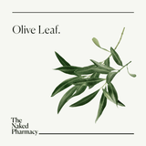 Olive Leaf 60s