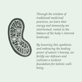Soulel Organic Booster 100g
