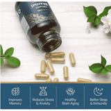 Ayurvediq Wellness Organic Brahmi 60s