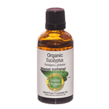 Amour Natural Organic Eucalyptus Pure Essential Oil 50ml