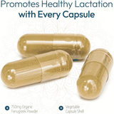 Ayurvediq Wellness Organic Fenugreek 120s