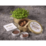 Teeny Greeny Organic Microgreen Grow Kit (Broccoli)
