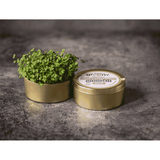 Teeny Greeny Organic Microgreen Grow Kit (Broccoli)