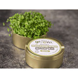 Teeny Greeny Organic Microgreen Grow Kit (Broccoli)